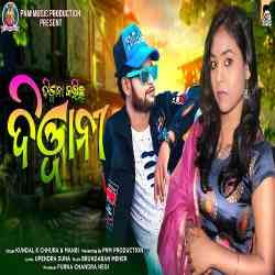 Deewana Karichhu Deewani